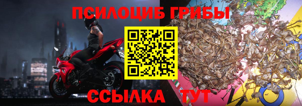 Джанкой  Псилоцибиновые грибы прущие грибы  Вход с VPN 